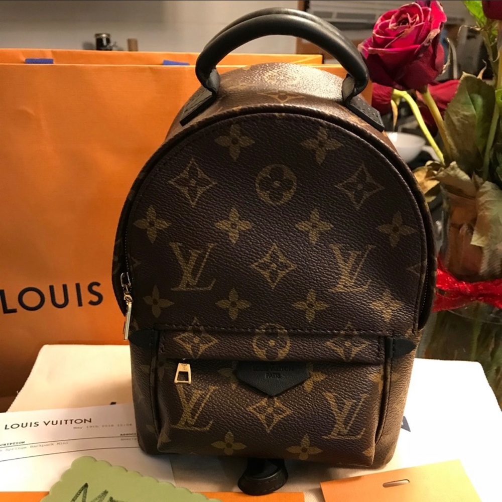 🌸Authentic Louis Vuitton Palm Springs Mini🌸
